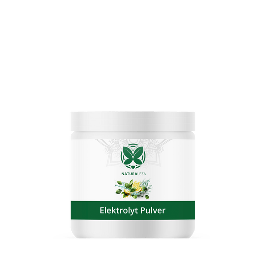 Elektrolytpulver mit Zitronen-Limetten-Geschmack 350g