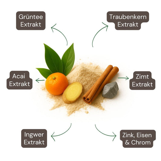 Fat Burner Kapseln