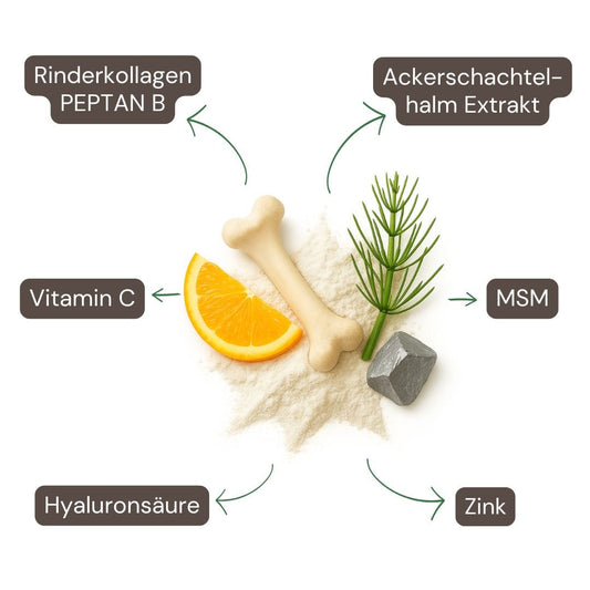 Kollagen & Hyaluron Plus Kapseln